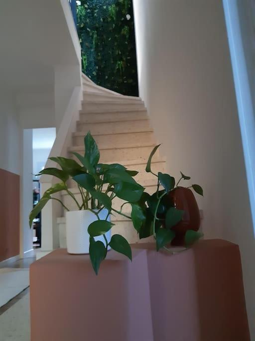 Maison Cocooning Pres Du Centre D'Avignon Villa Eksteriør billede
